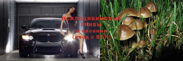 мдпв Новокубанск