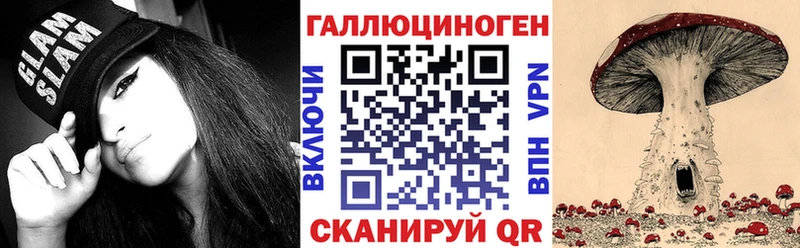 дарнет шоп  Ступино  Псилоцибиновые грибы мицелий 