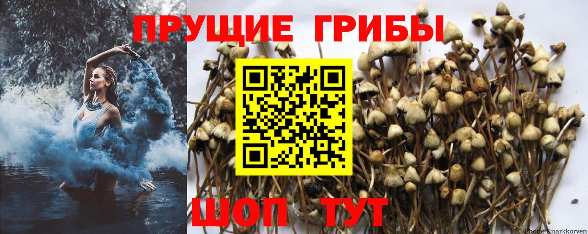 Галлюциногенные грибы прущие грибы Ступино
